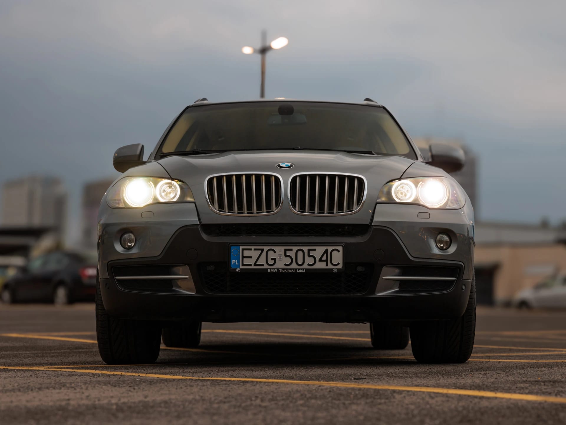 Zdjęcie samochodu BMW X5 3.5d xDrive numer 15